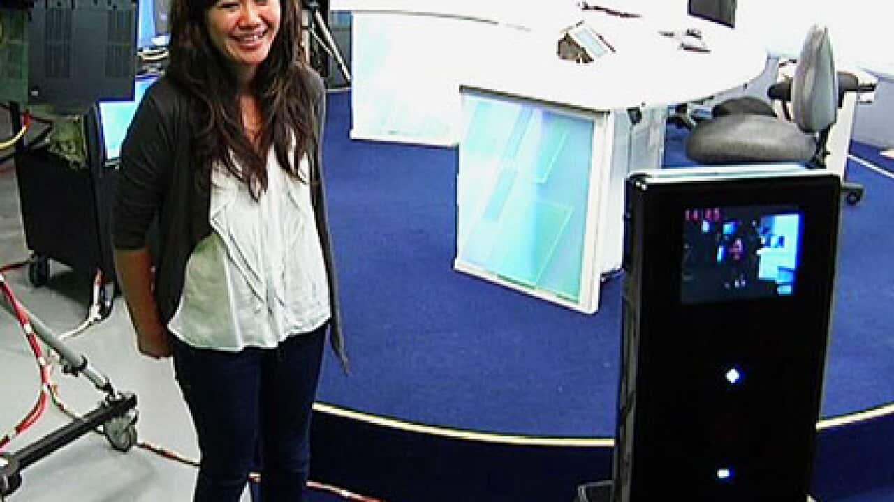 nat-and-flip_B_916862507