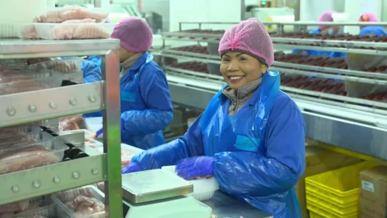 Karen employees make up 120 of the 800-strong Hazeldenes workforce (SBS)