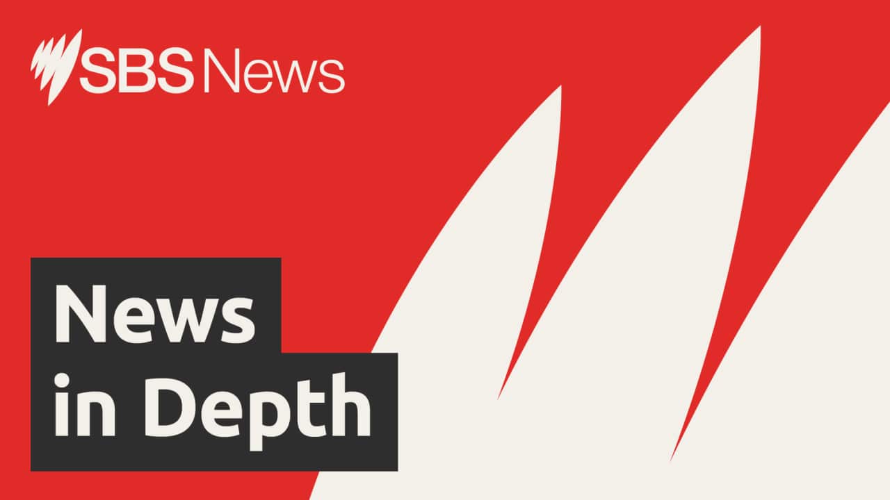 SBSPodcasts_WebBanners_1800x1013px_SBSNewsInDepth (003).png