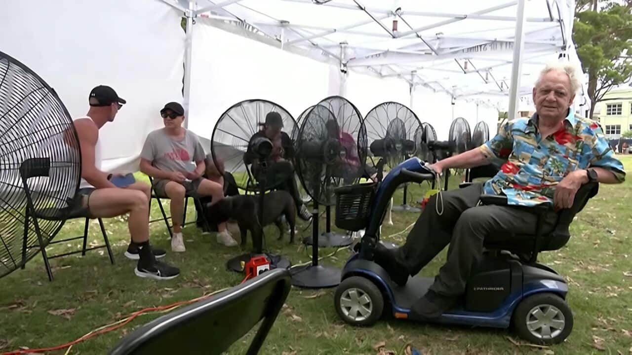 One of Sydney's cooling hubs in operation (Reuters).jpg