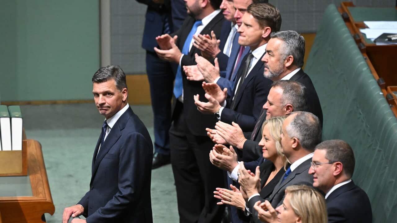 ANGUS TAYLOR BUDGET REPLY
