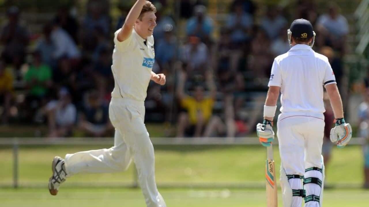 cricket