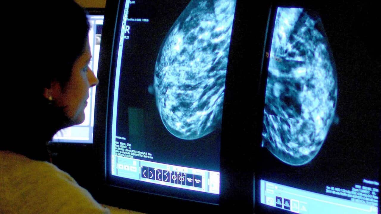 A consultant analyzing a mammogram