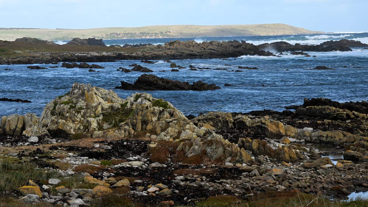 KING ISLAND STOCK