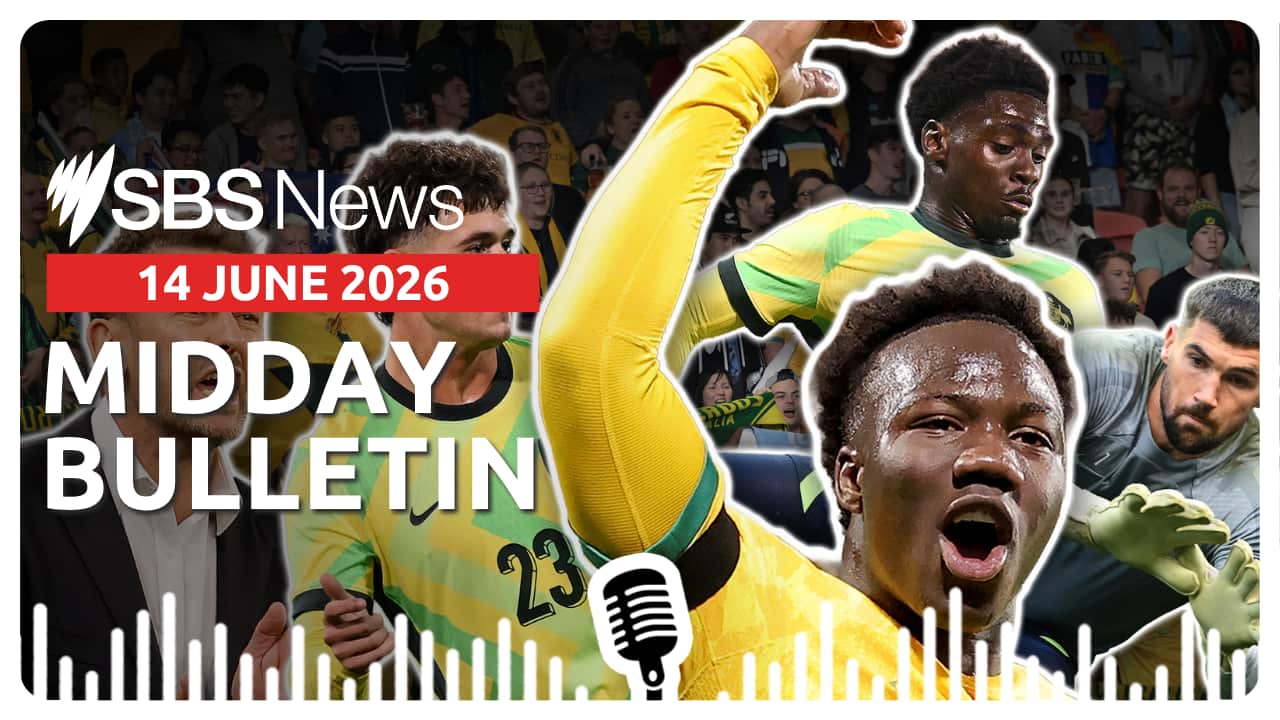MIDDAY BULLETIN 14 JUNE 2026.png