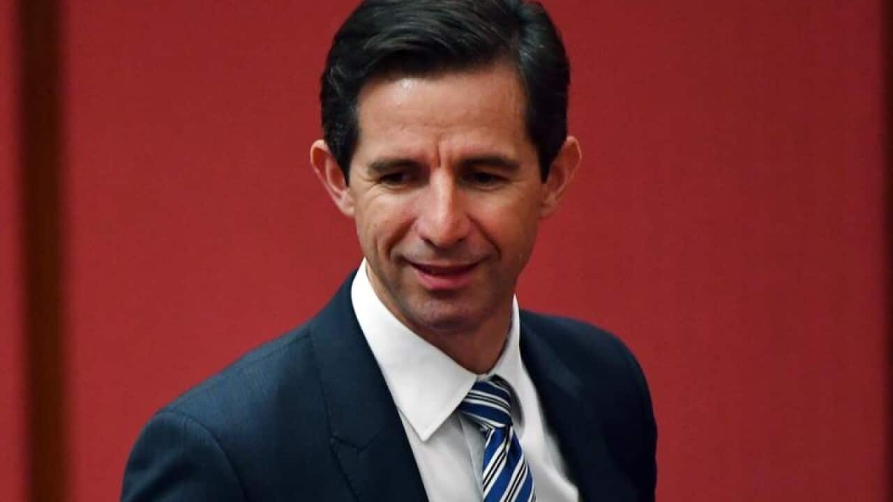 Minister for Education Simon Birmingham (file)
