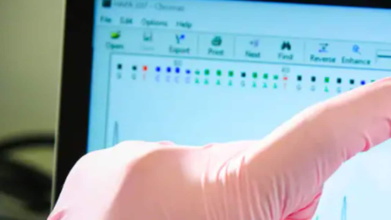 Australia's most common blood types are changing and new research suggests it's linked to the country's multicultural diversity.