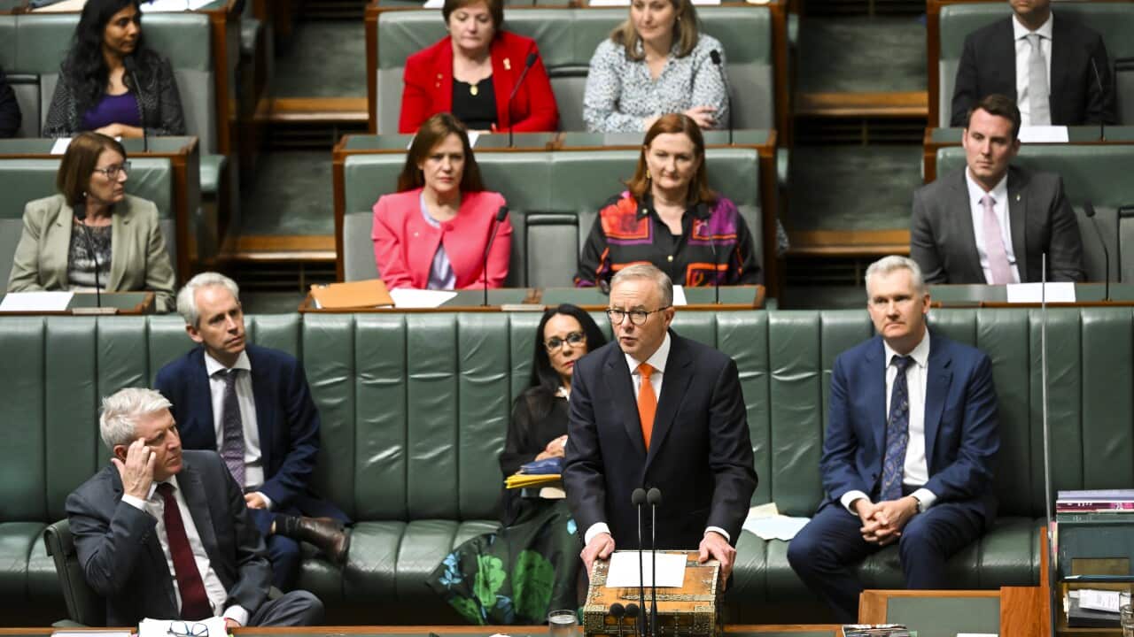 ANTHONY ALBANESE IR BILL SPEECH