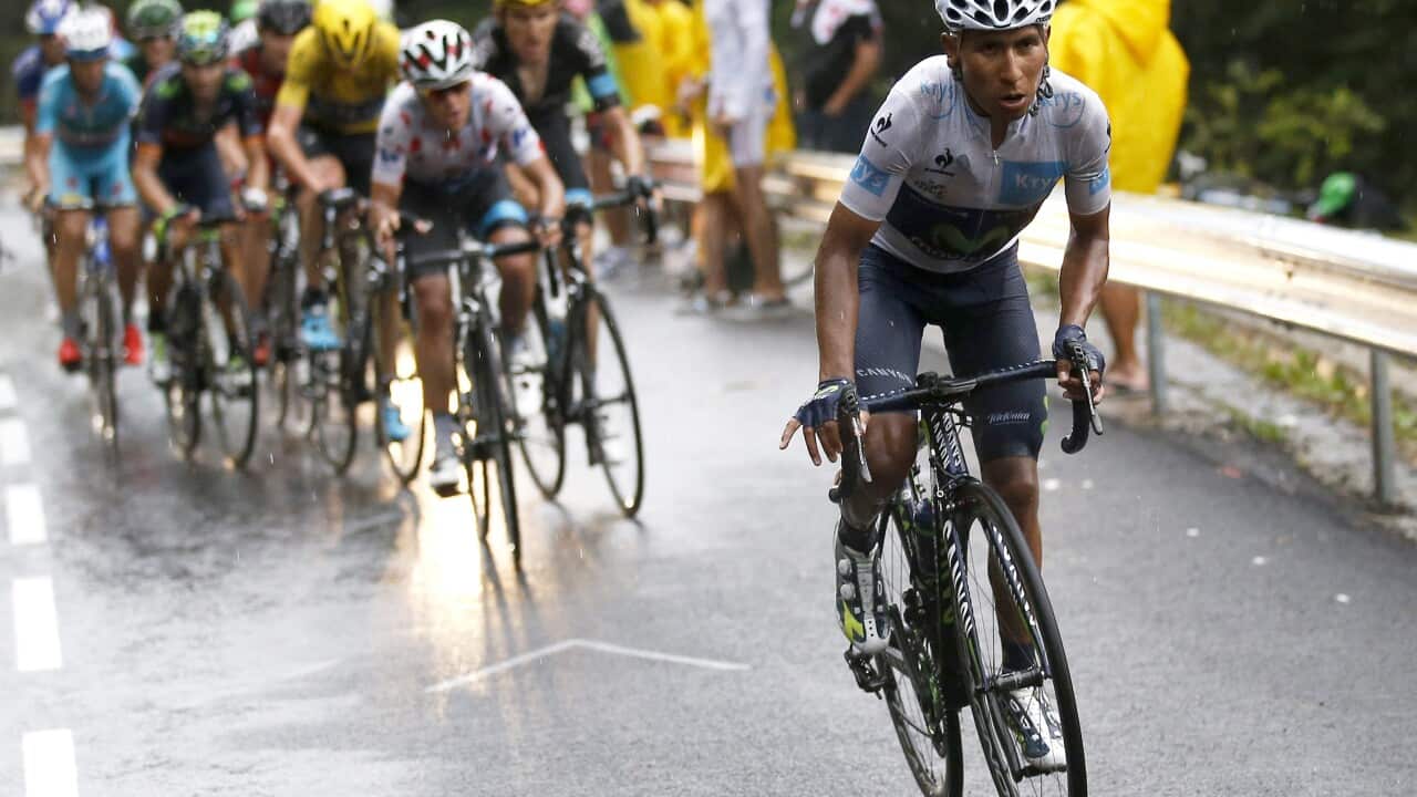 Tour de France 2015 Stage 12, Nairo Quintana, Movistar