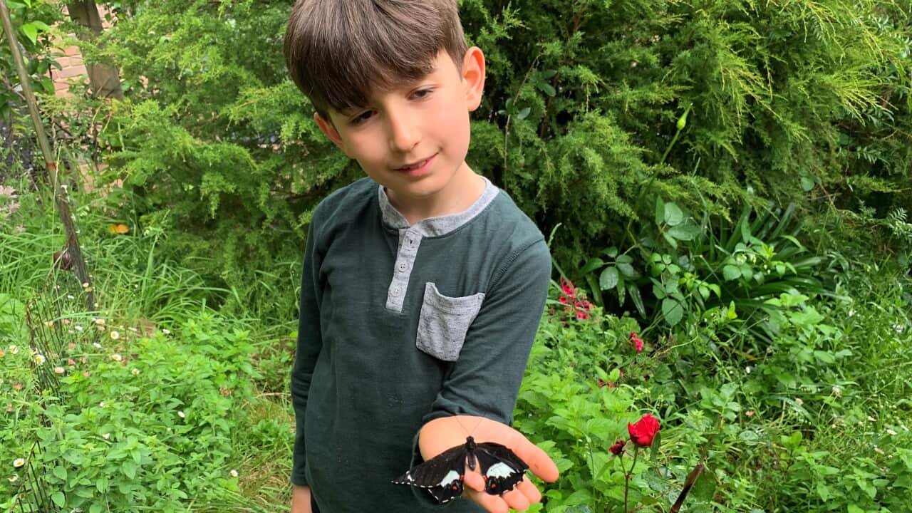 Тони Дейвис: Добрият човек помага на другите.