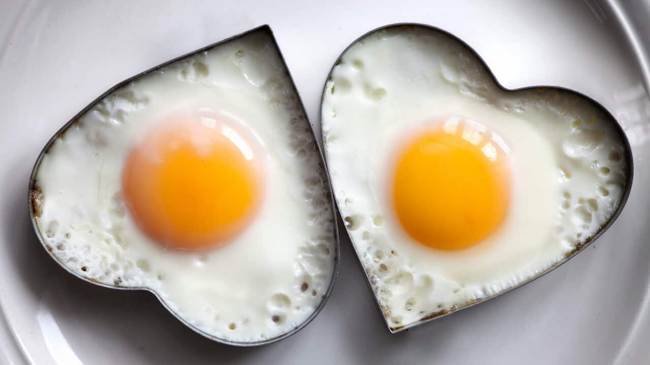 Cholesterol