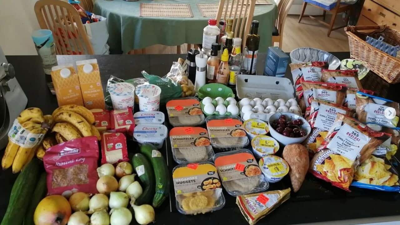 食物尋寶之旅戰利品