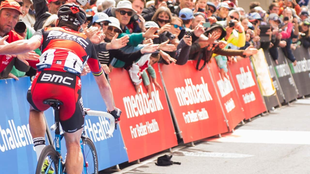 evans_990_aap_631464280