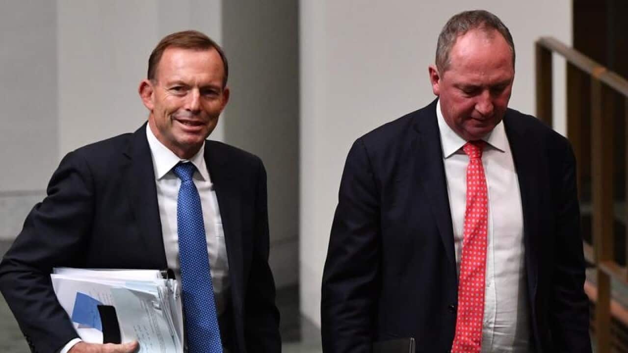 Tony Abbott and Barnaby Joyce together in parliament in May.