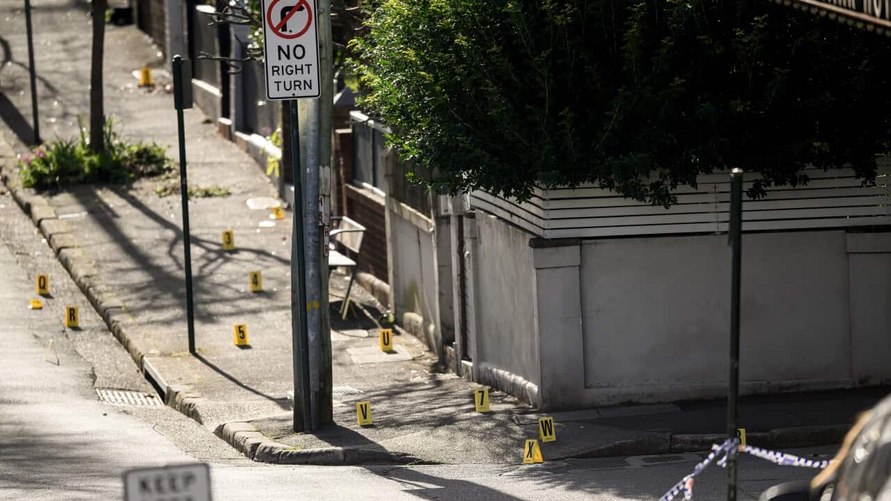 HAROLD PARK HOTEL SHOOTING