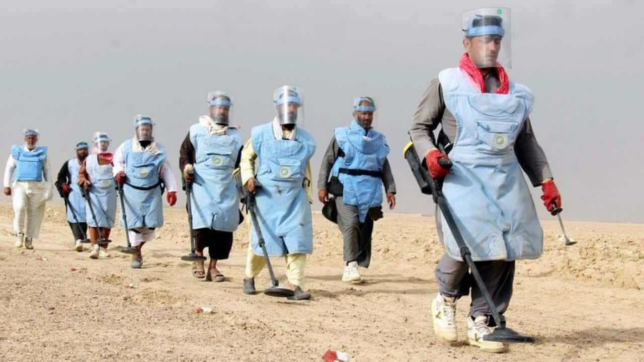 Image for read more article 'READ MORE'