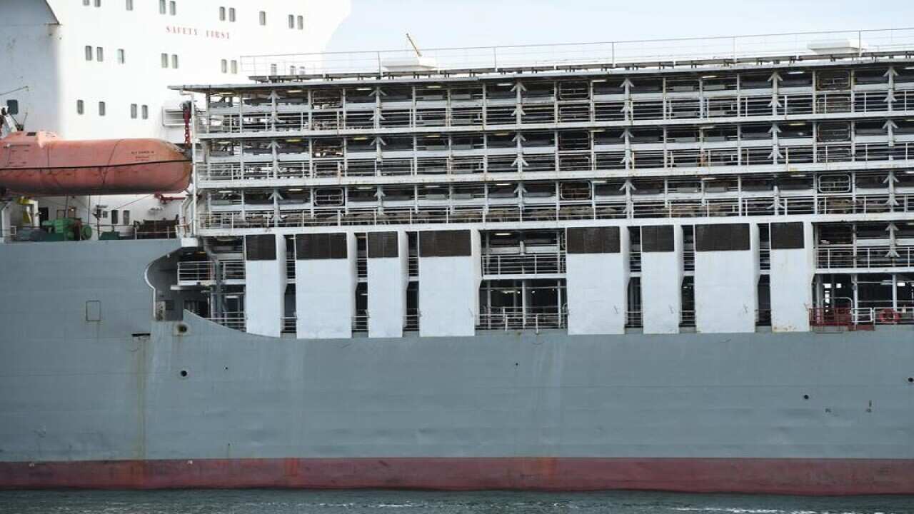 This ia a file image of livestock ship, Bader lll, in Port Adelaide.