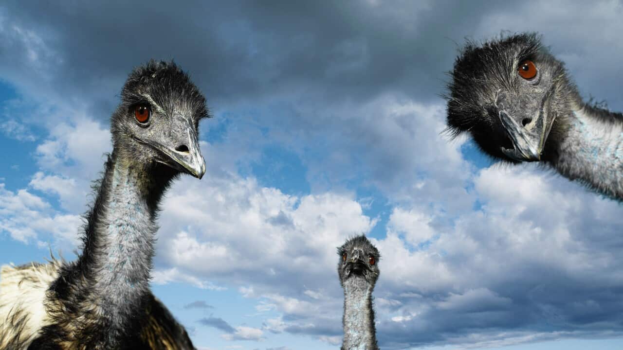 Image for read more article 'READ MORE'