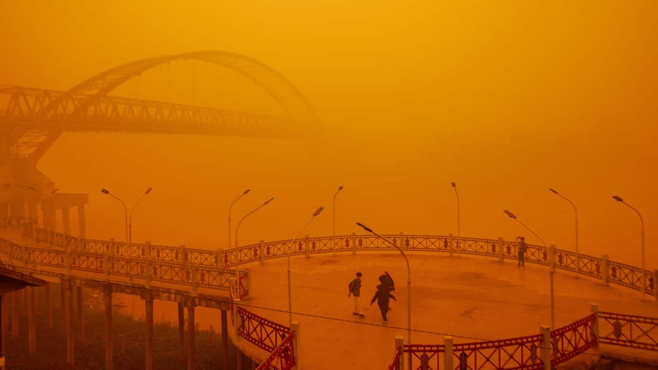Toxic haze in Southeast Asia intensifies during orangutan rescue efforts Toxic haze in Southeast Asia intensifies during orangutan rescue efforts