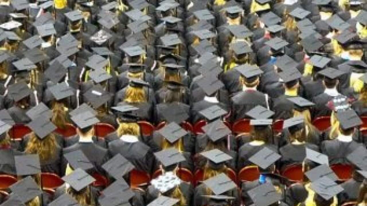 University Students