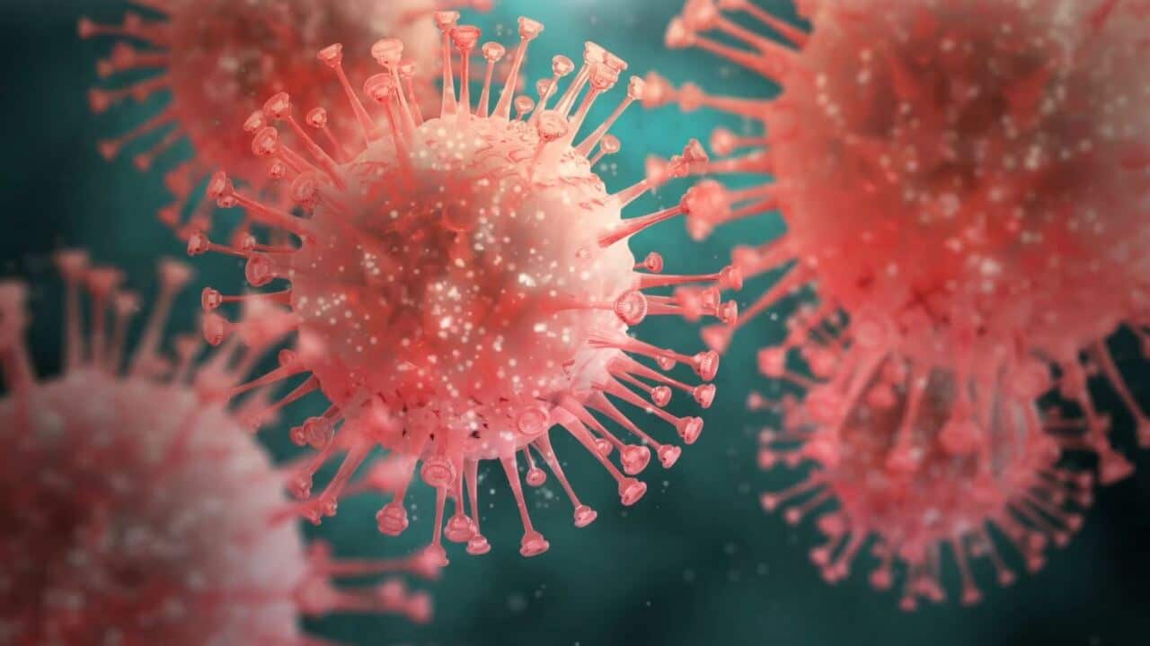 HIV virus