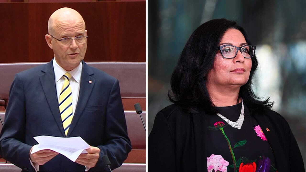 Senator David Leyonhjelm has thanked the "young brown men" of Australia in a speech that has already been attacked by the Greens.