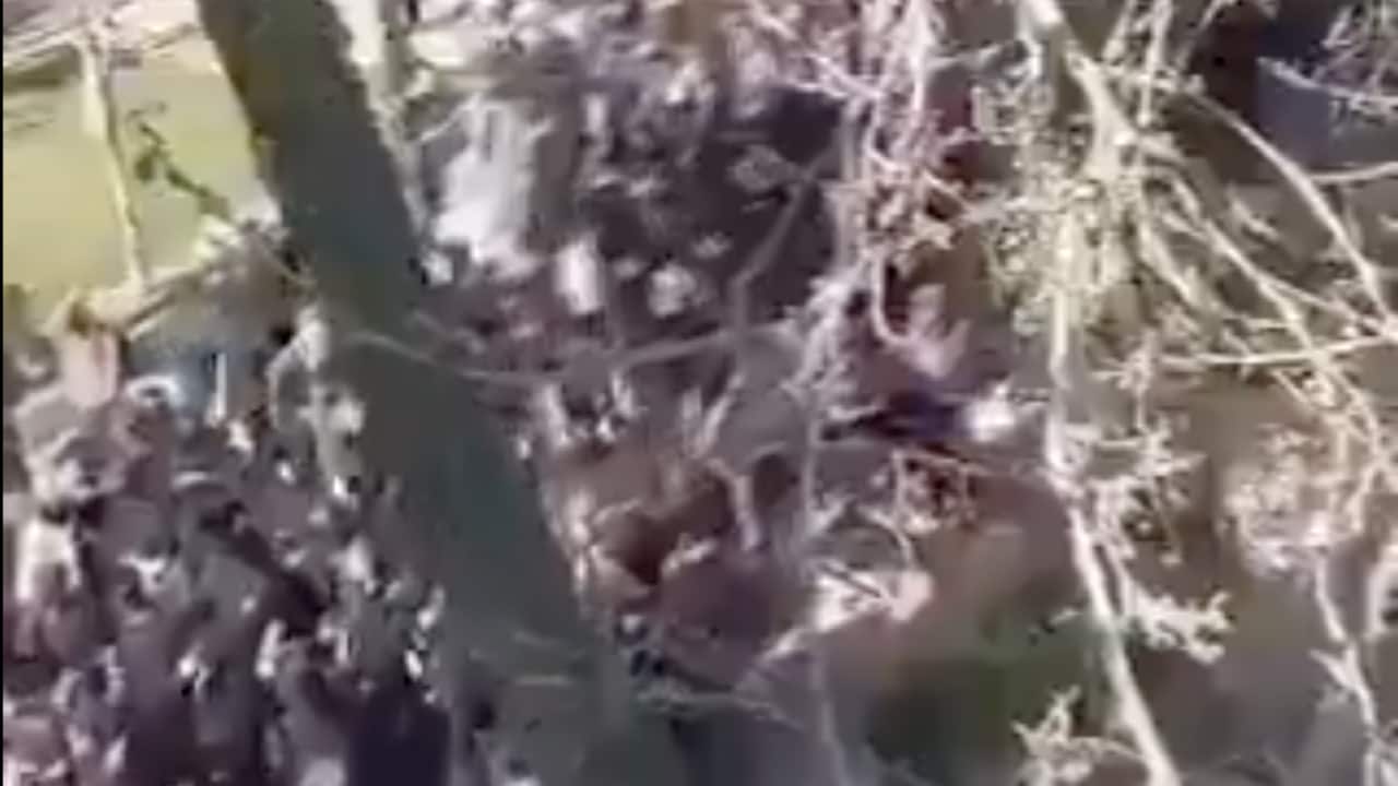 Image for read more article 'READ MORE'