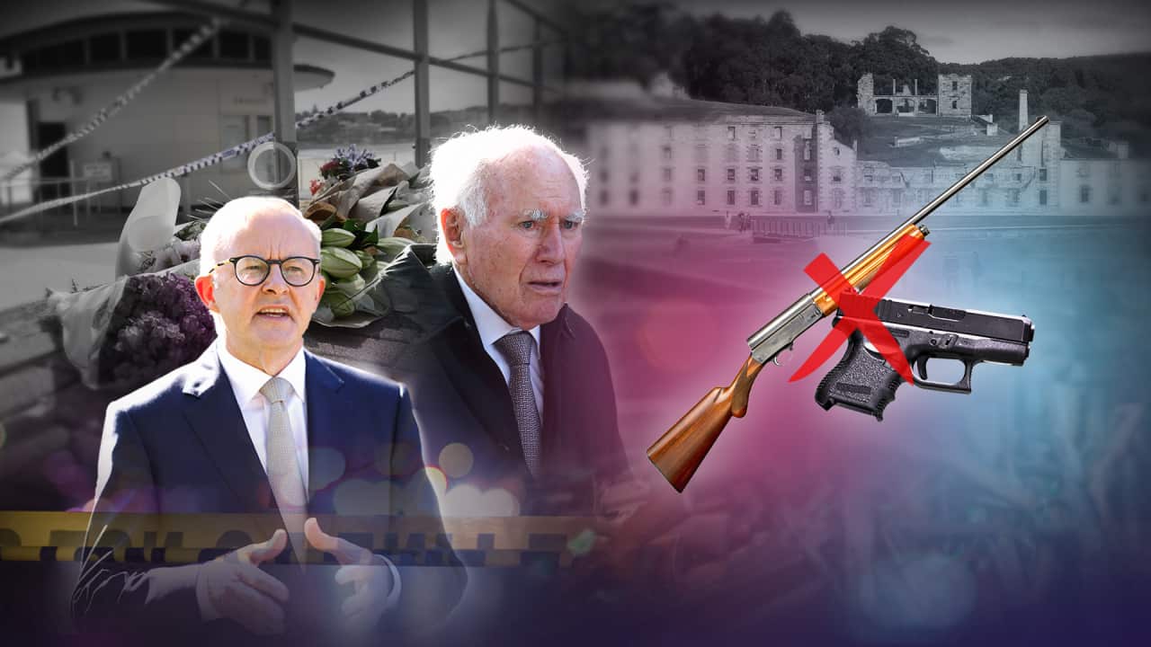 SANAE IMAGE GUN LAWS V02 1 (1).png