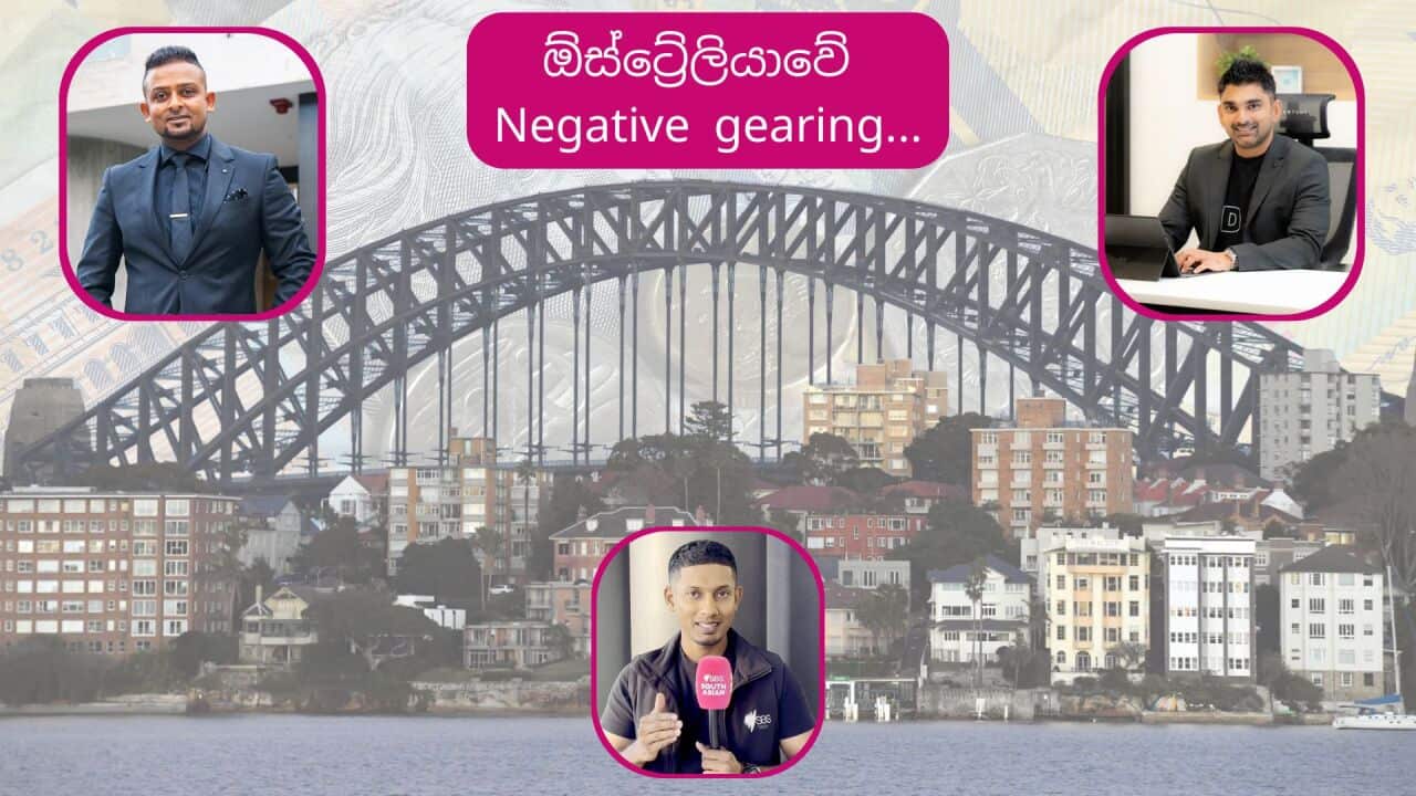 SBS SInhala Image (3).jpg