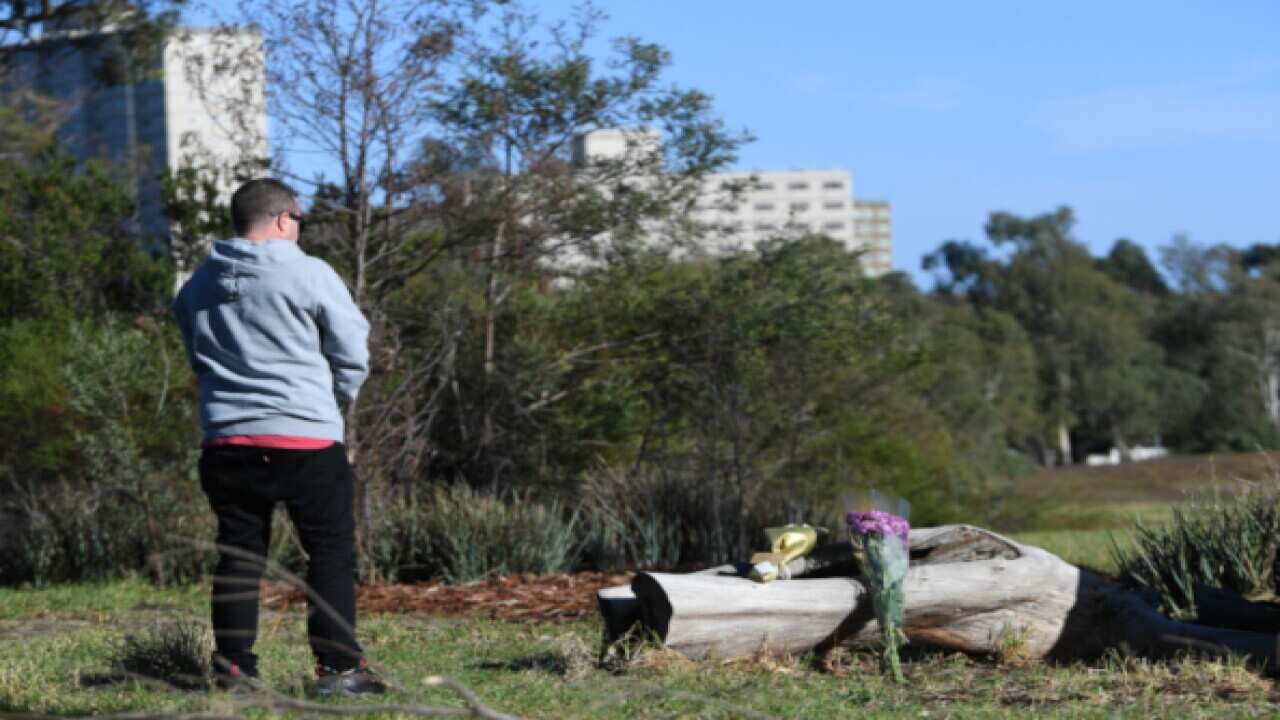 Royal Park Crime