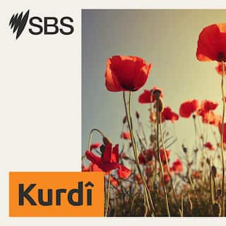 SBS-Podcasts_SBSKurdish_3000x3000px (1).jpg