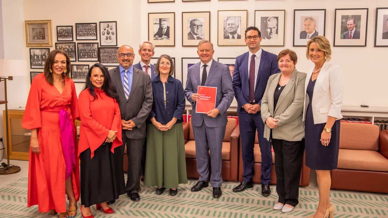 Labor's caucus release the party's inaugural Multicultural Statement. 