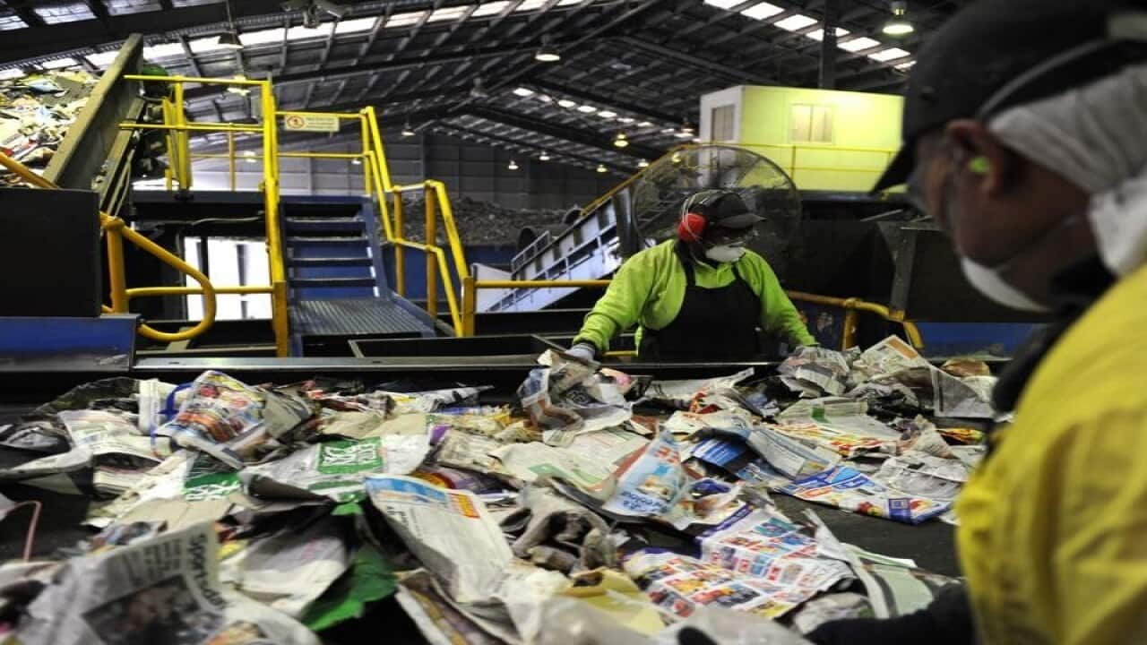 Workers at the Visy recycling plant in Brisbane.