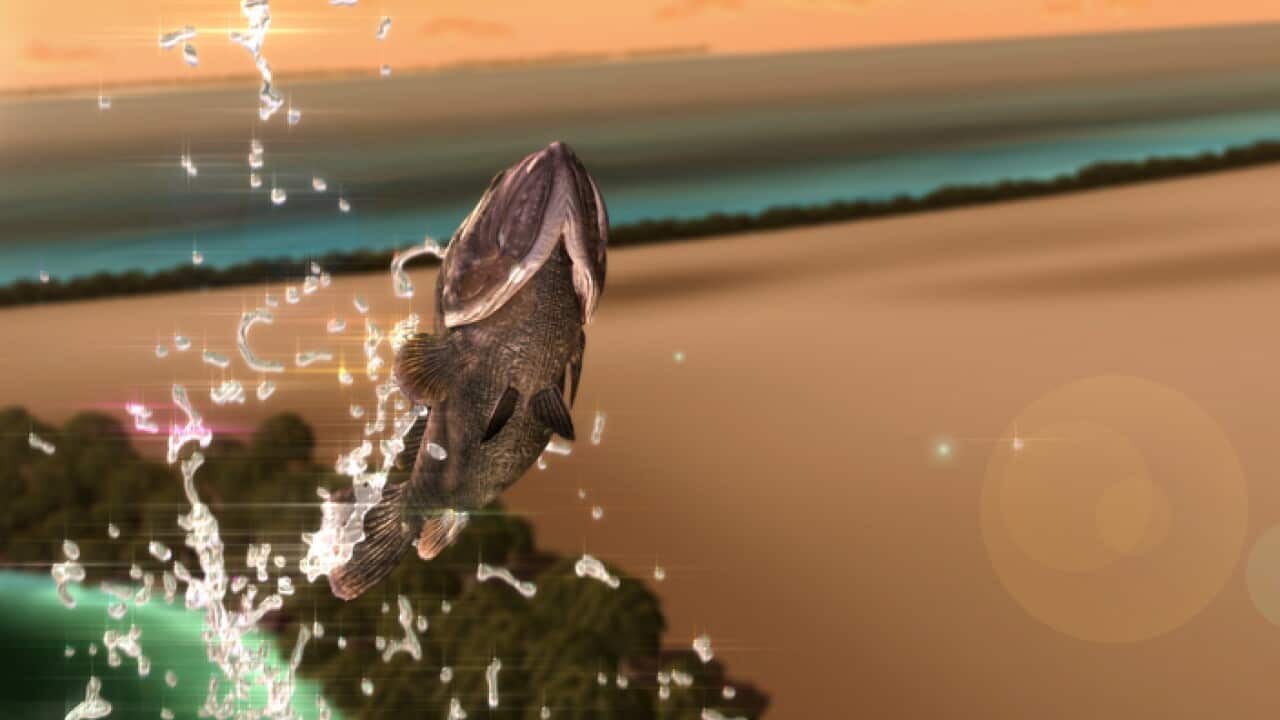 From the animated film a-Kuridi, the Groper (Wunungu Awara)