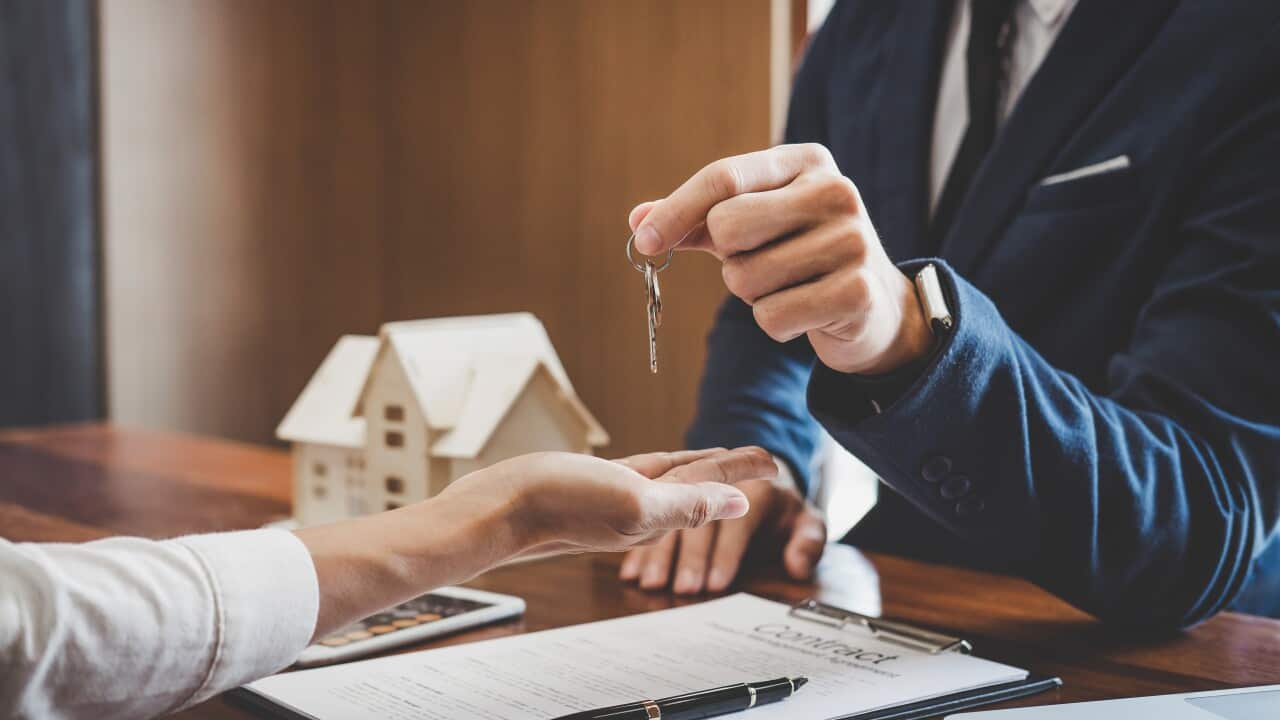 Image for read more article 'READ MORE'