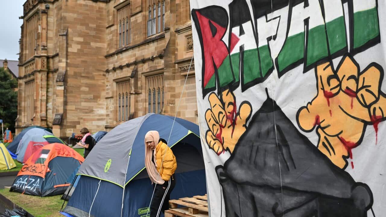 Tents pitched in front of a university, with pro-Palestine grafitti including Palestinian flags.