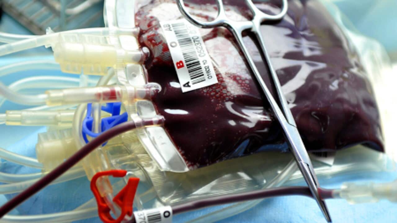 blood_bag_generic_101108_B_getty_1108535275
