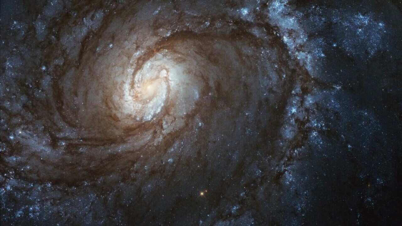 Hubble's image of grand spiral galaxy M100