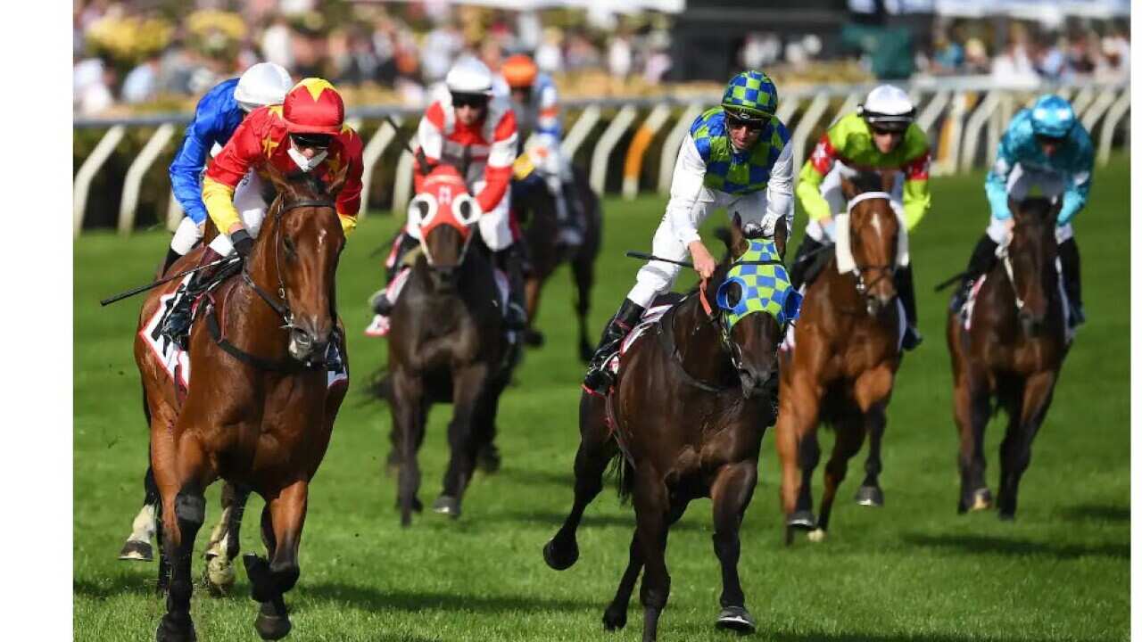 Melbourne Cup Source AAP JAMES ROSS AAP IMAGE.jpg