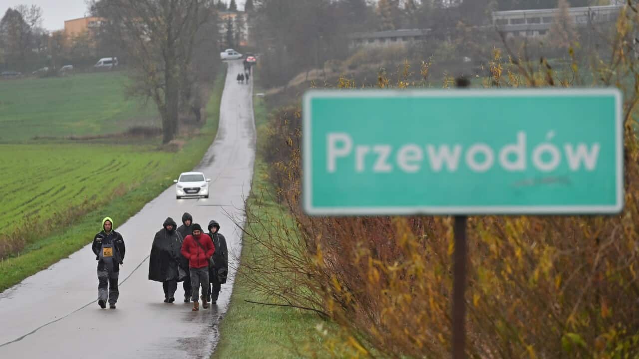 Members of the Police and citizens searching the fields near the village of Przewodow