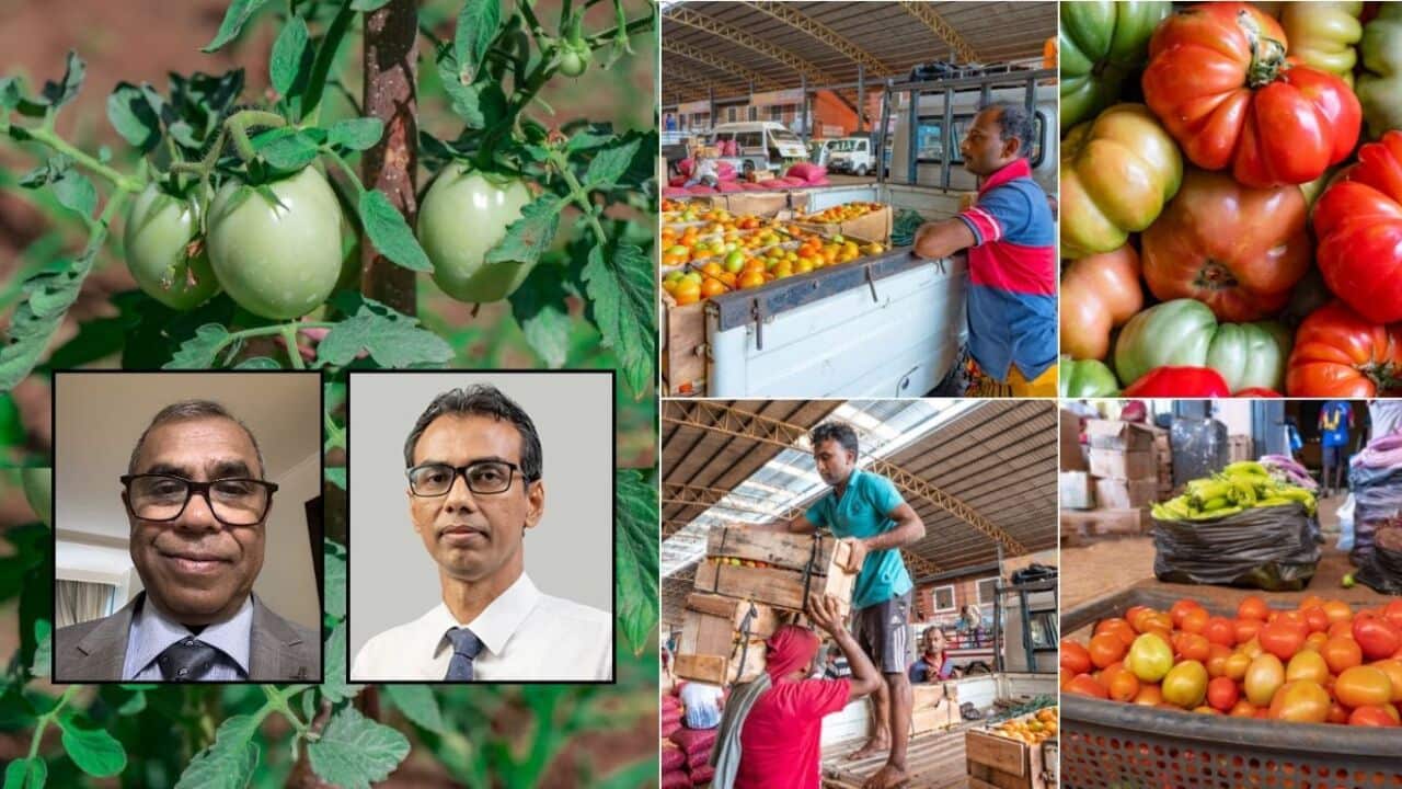 SBS Sinhala Dr Thilak Mallawarachchi Dr Manoj Thibbotuwawa IPS Sri Lanka University of Queensland ACIRA Australia food loss mitigation.jpg