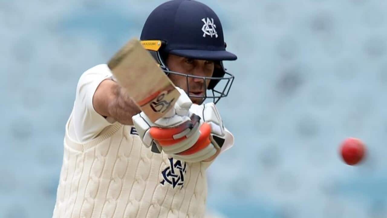 Victorian batsman Glenn Maxwell