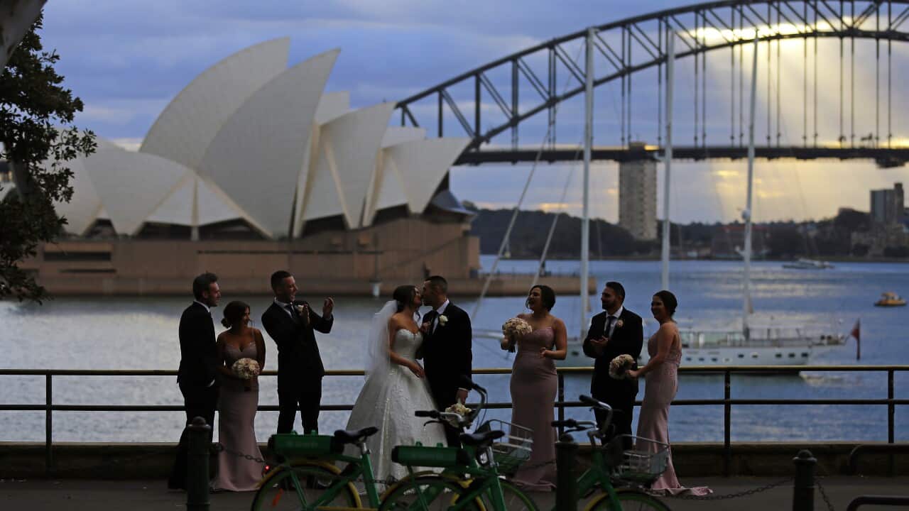 Sydney Harbour Bridge y Sydney Opera House como parte del paisaje de unas fotos de boda.