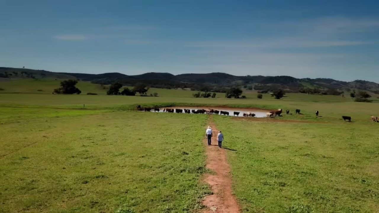 Angus and Leslie Tink on their farm near Mudgee