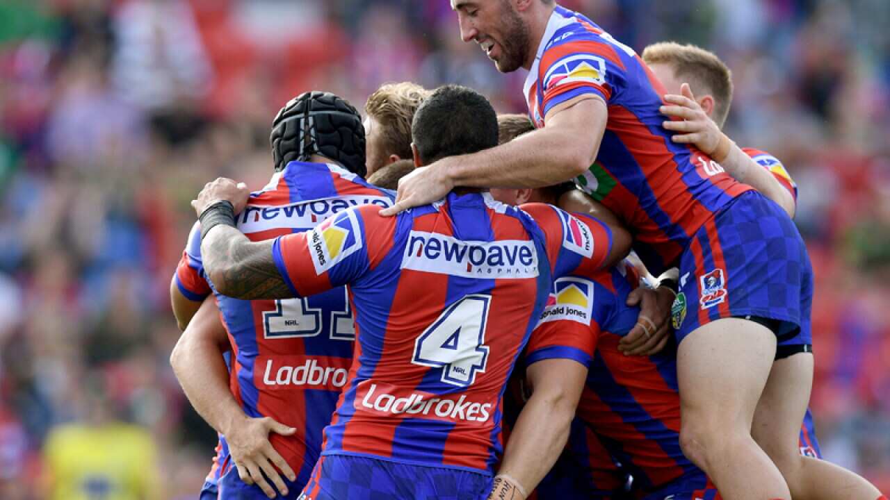 Knights players celebrate