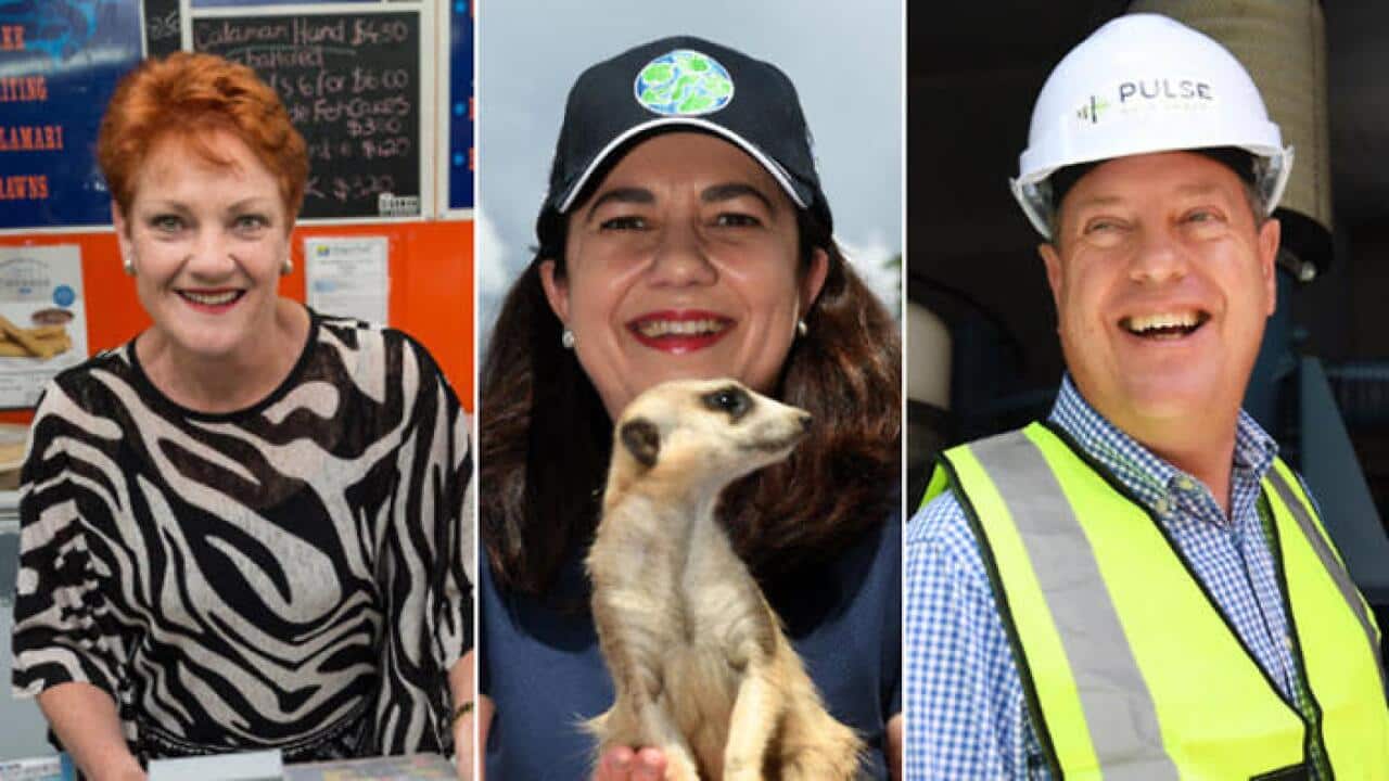Pauline Hanson, Annastacia Palaszczuk and Tim Nicholls