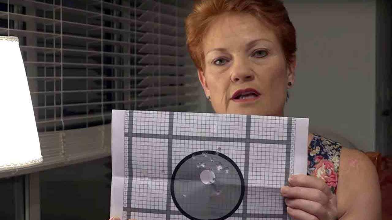 The One Nation leader has taken to YouTube to talk about her trip to Afghanistan, where she learnt how to handle a gun and a rifle.