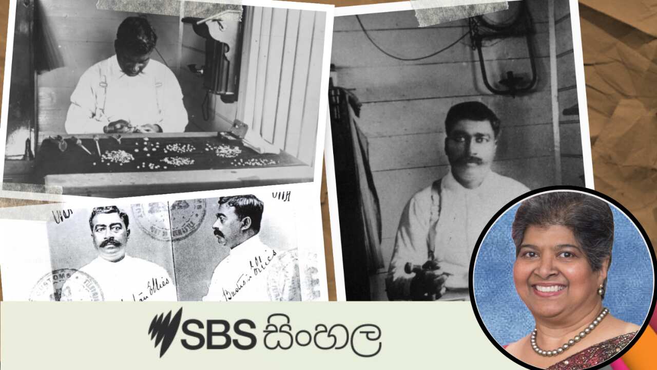 T B Ellies Main Image.png