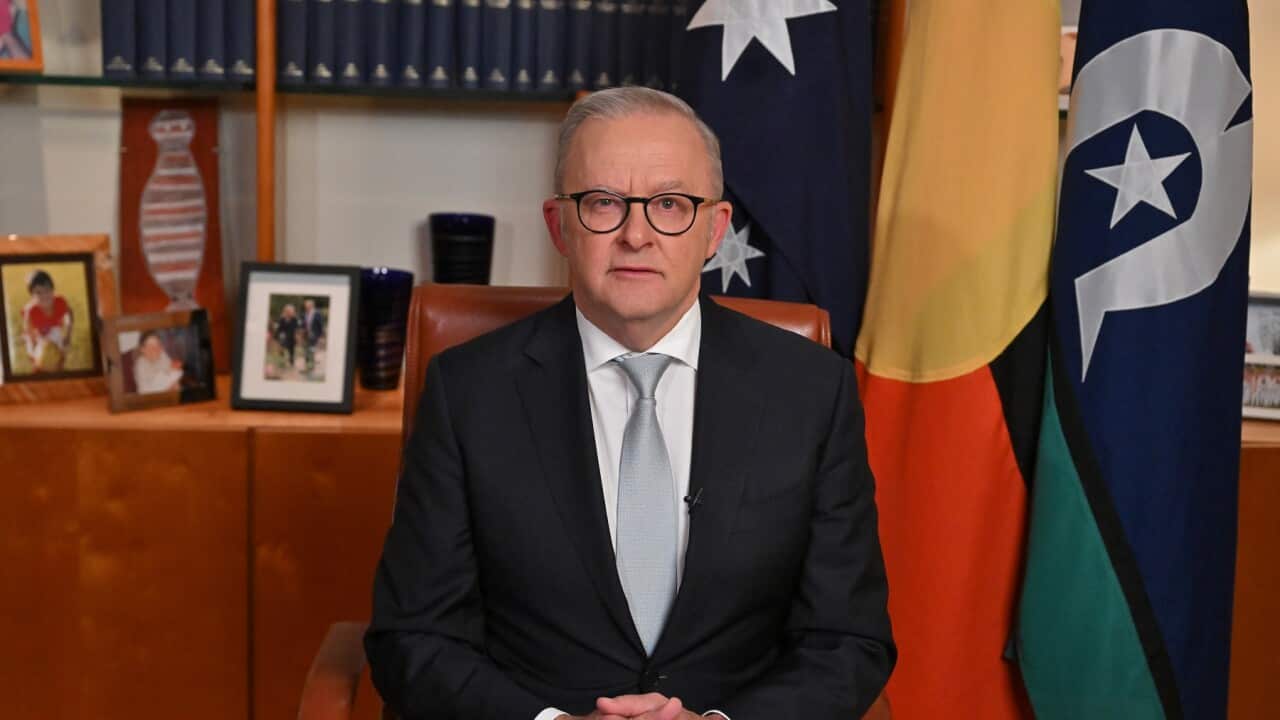 ANTHONY ALBANESE NATIONAL BROADCAST