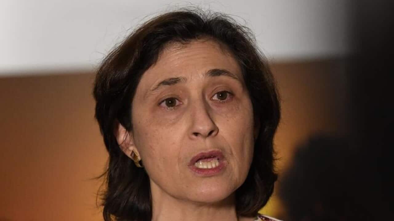 A file image of Victorian Environment Minister Lily D'Ambrosio.